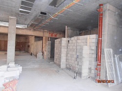 Loewenstein Hospital 